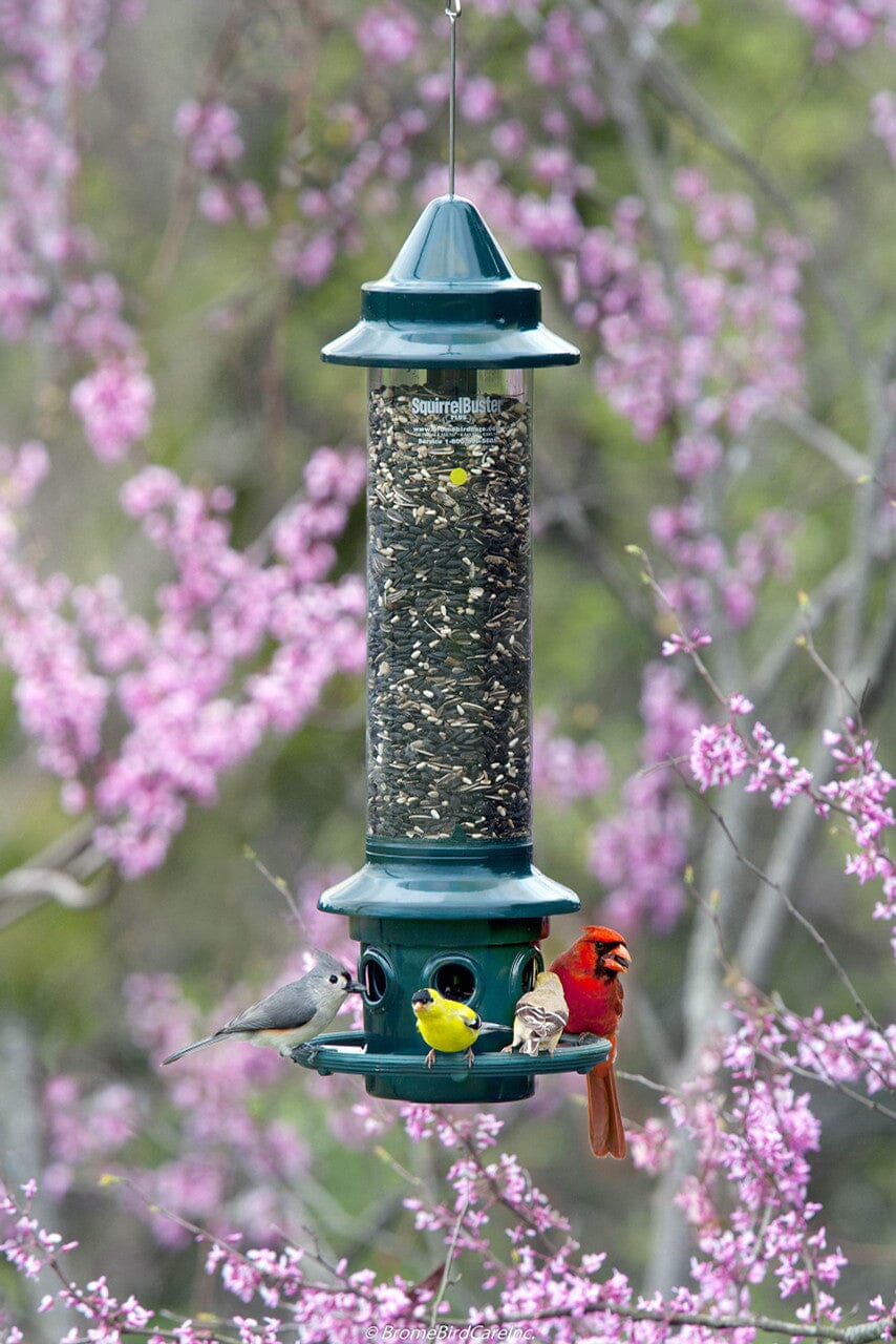 JCS Wildlife