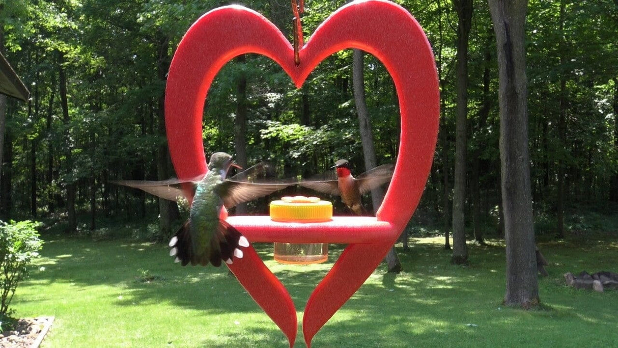 JCS Wildlife