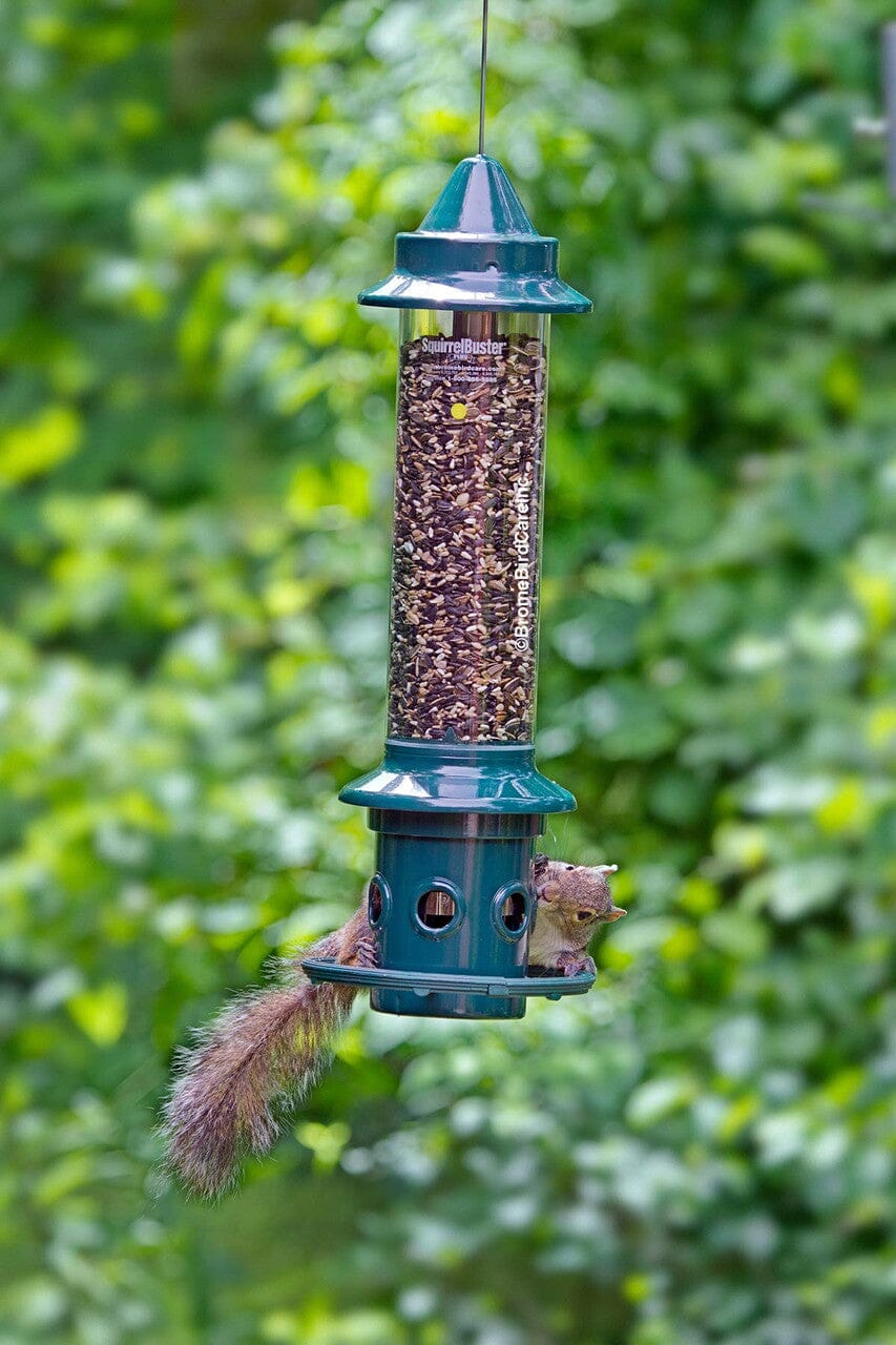 JCS Wildlife
