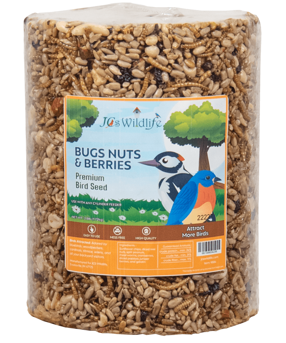 JCS Wildlife Bugs Nuts and Berries Premium Bird Seed cylinder, 3.8 lb, high-quality ingredients for attracting birds.