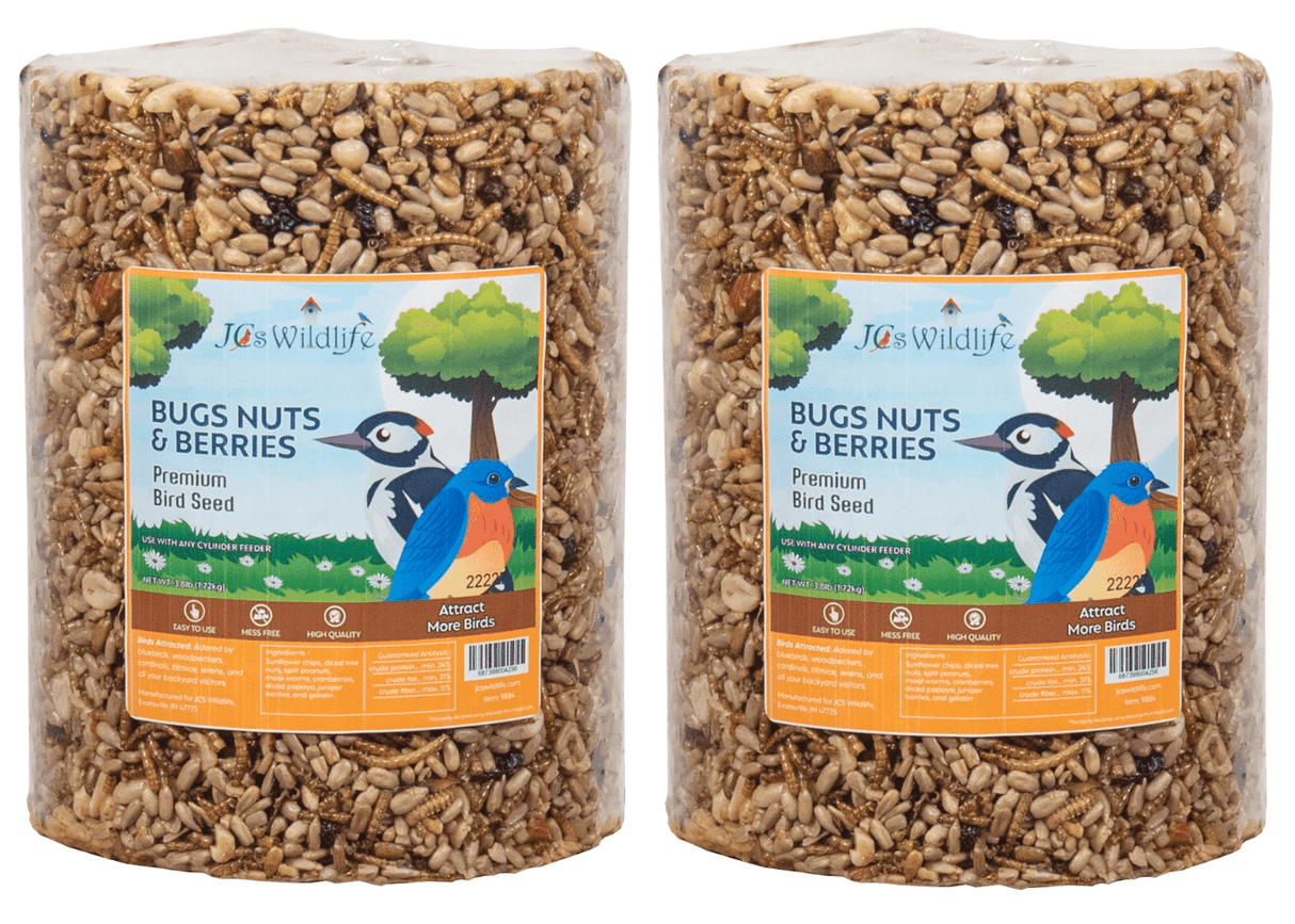 JCS Wildlife Bugs Nuts and Berries Premium Bird Seed Large Cylinder, 3.8 lb, ideal for attracting various bird species.