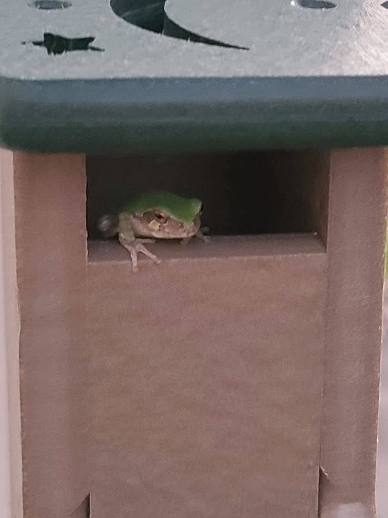 JCS Wildlife