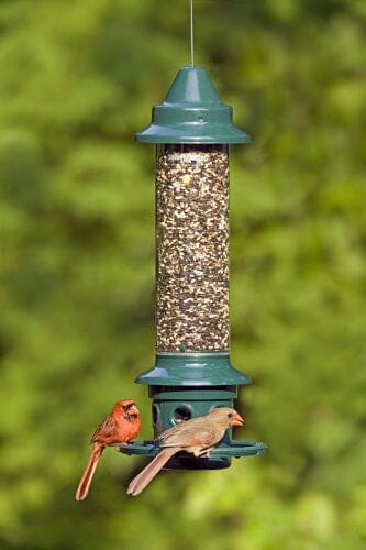 JCS Wildlife