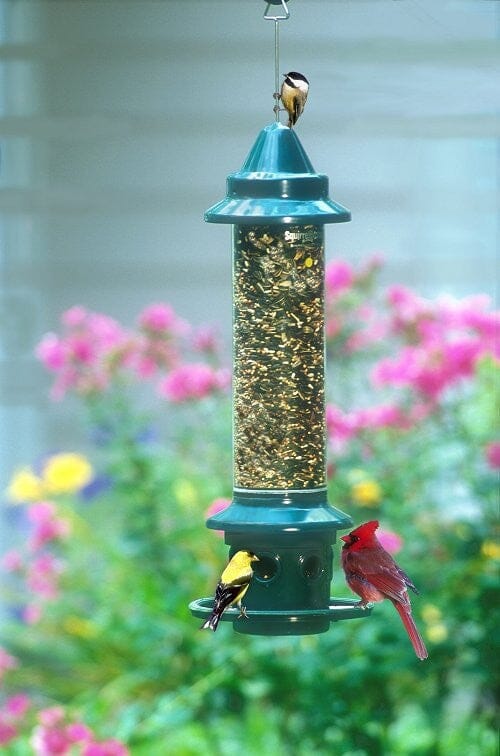 JCS Wildlife