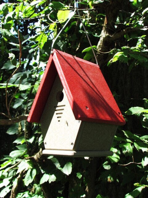 JCS Wildlife