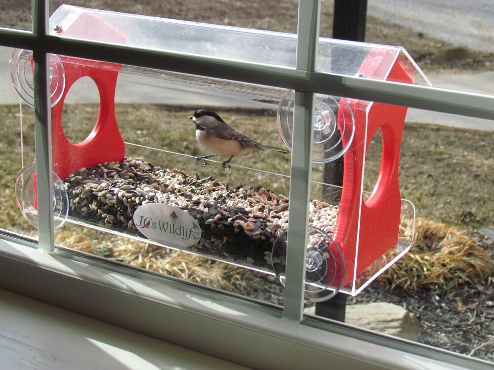 JCS Wildlife