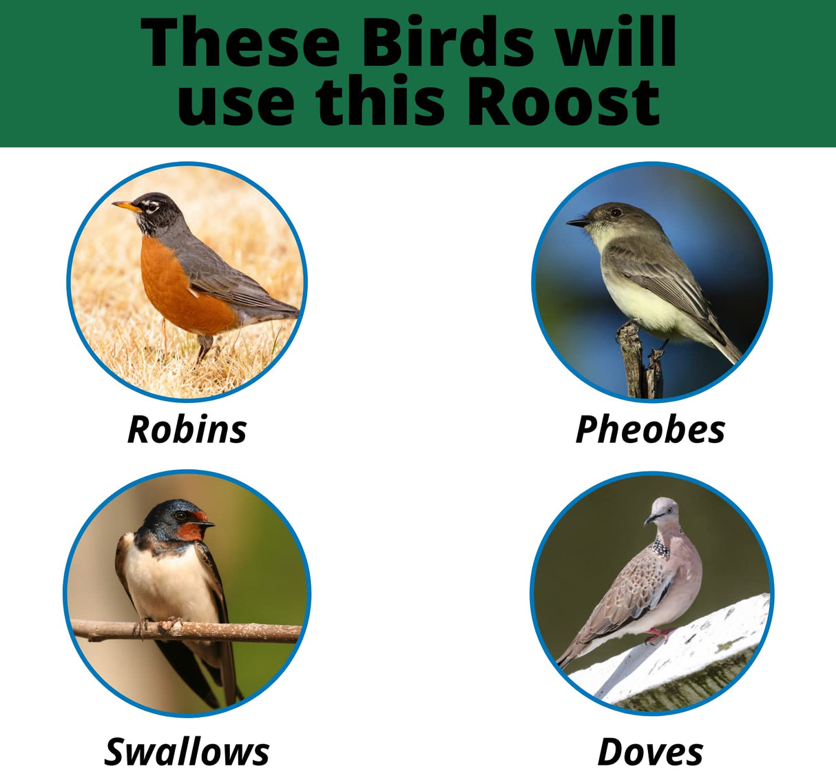 JCS Wildlife