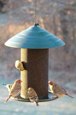 JCS Wildlife