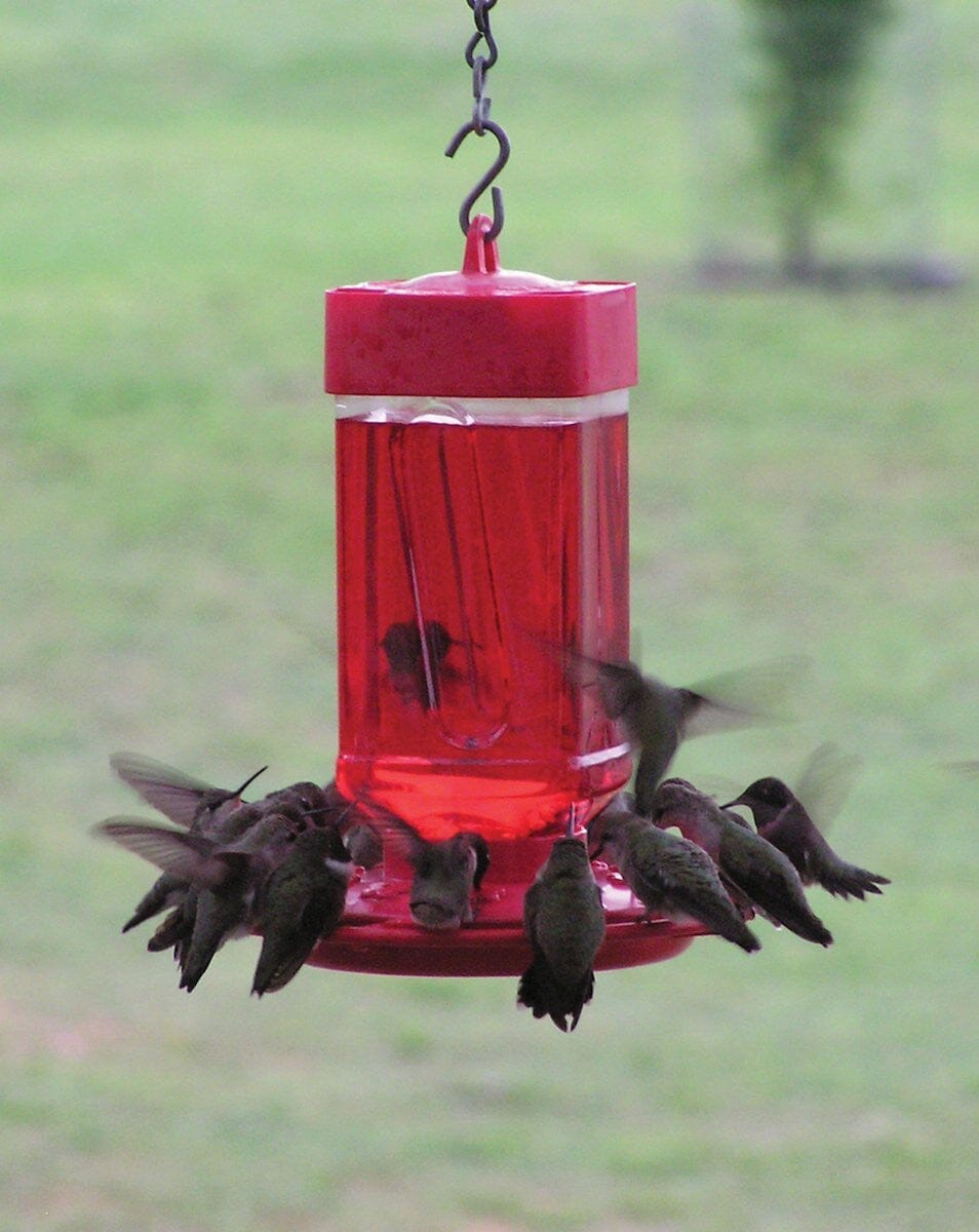 JCS Wildlife