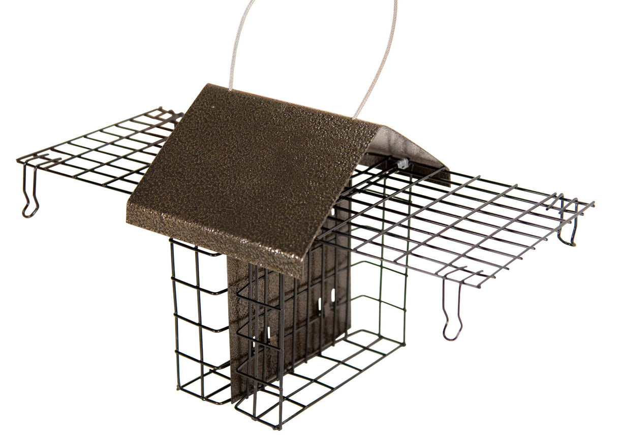 JCS Wildlife