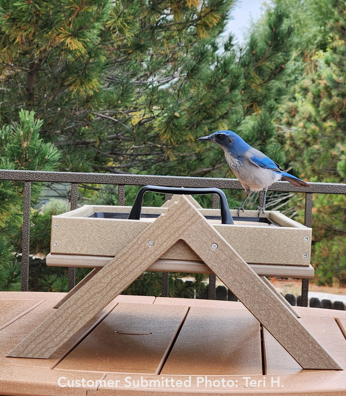 JCS Wildlife