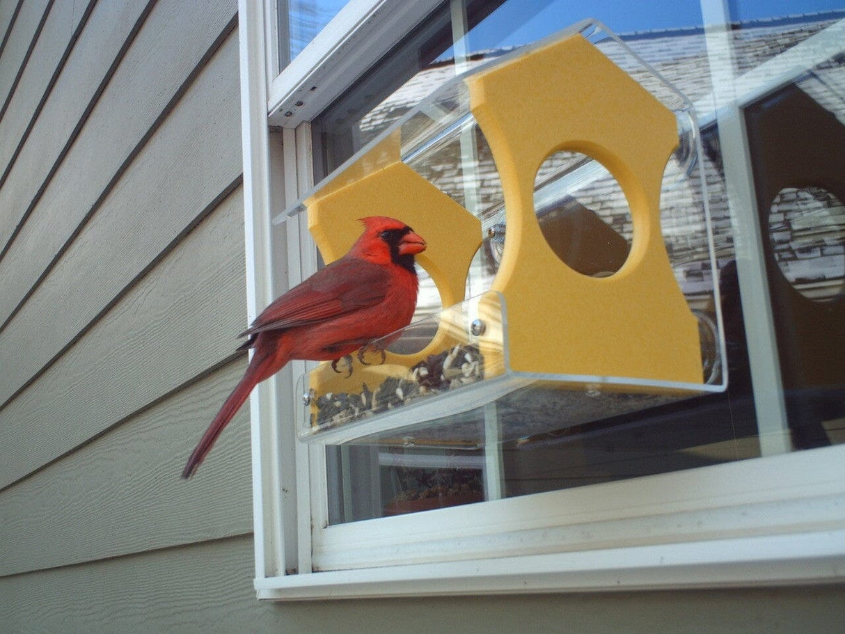 JCS Wildlife