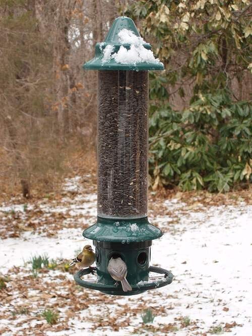JCS Wildlife