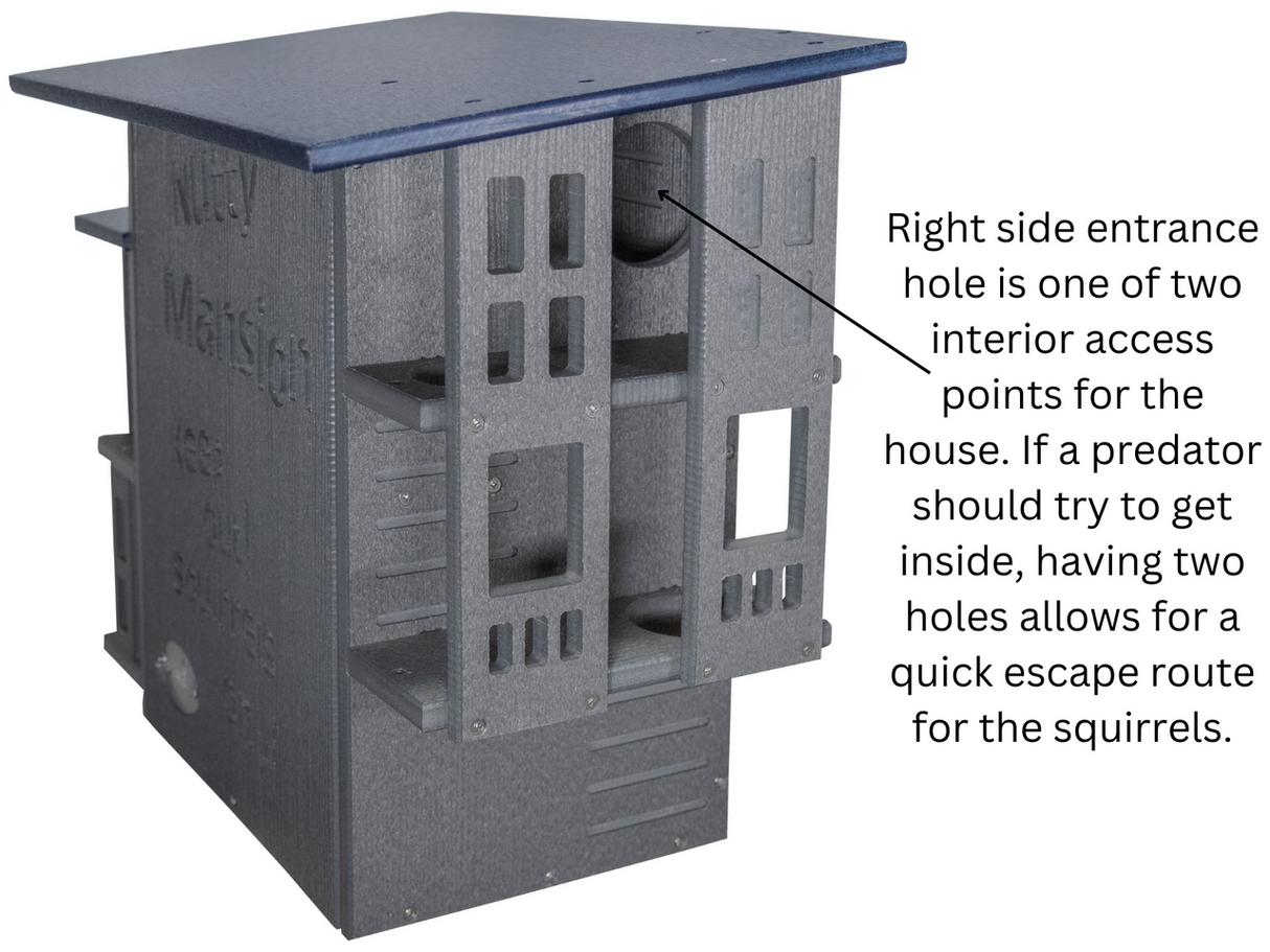 Product photo of the Nutty Mansion squirrel house showing multiple levels, a dark gray and navy blue color scheme, and two entry holes for predator escape.