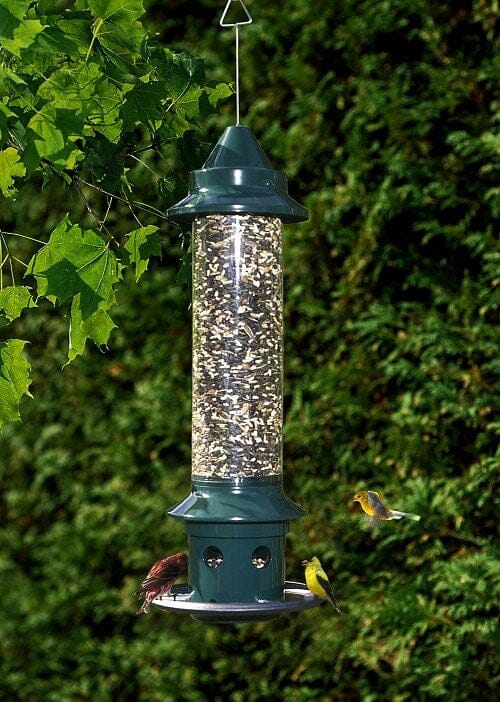 JCS Wildlife