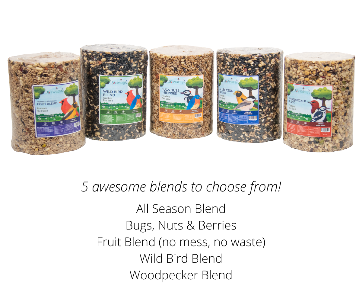 Five varieties of JCS Wildlife bird seed cylinders including Bugs, Nuts & Berries, perfect for attracting birds.