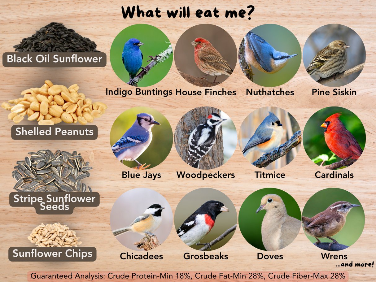JCS Wildlife