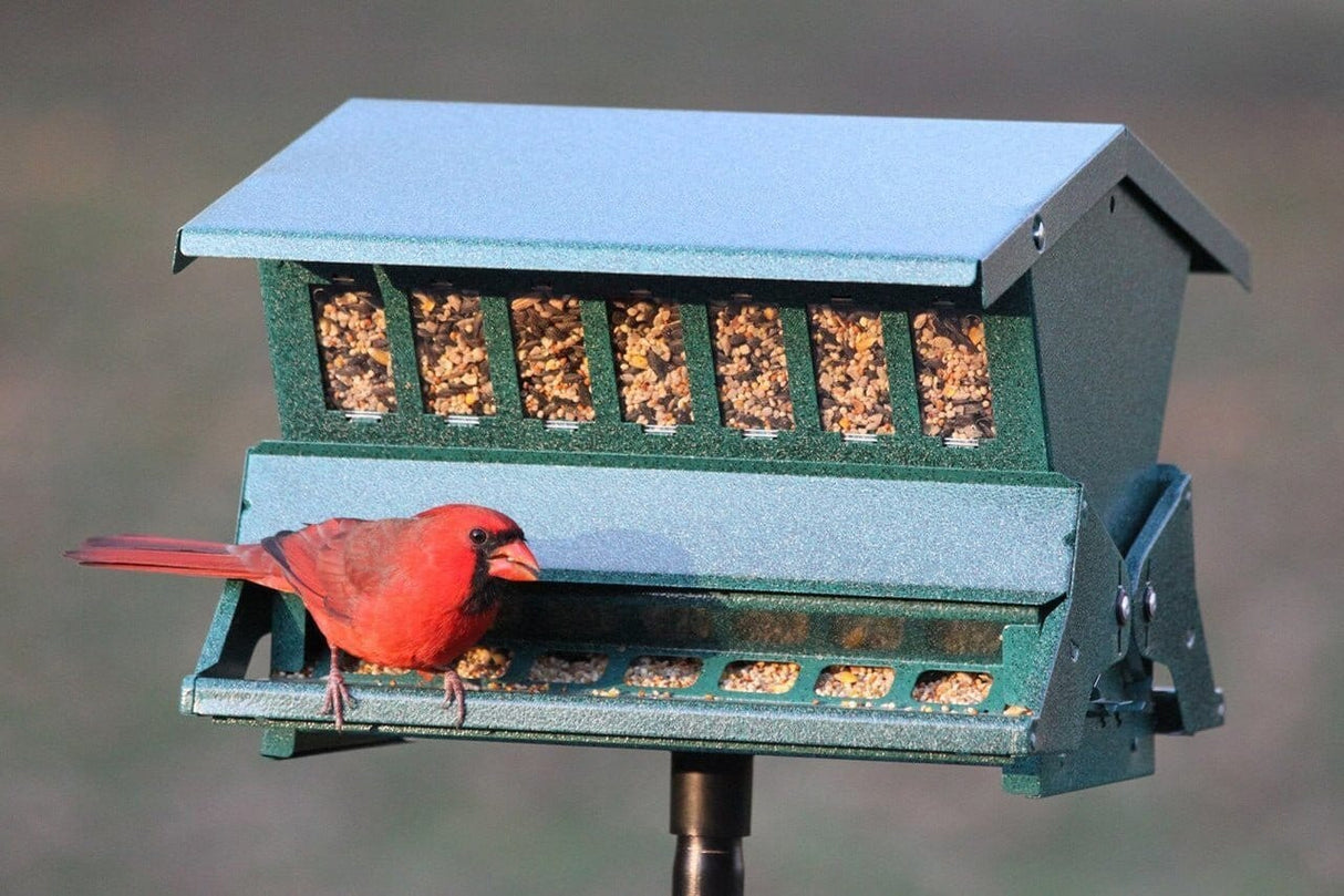 JCS Wildlife