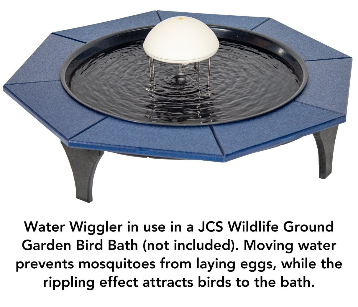JCS Wildlife