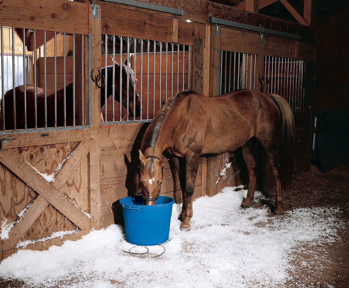 Horse drinking from API 16 Gallon 260 Watt Heated Bucket in barn with snow on the ground
