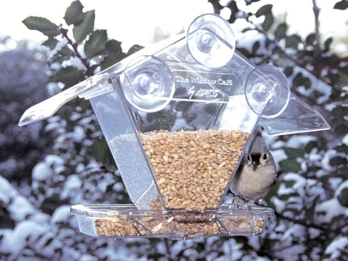 JCS Wildlife
