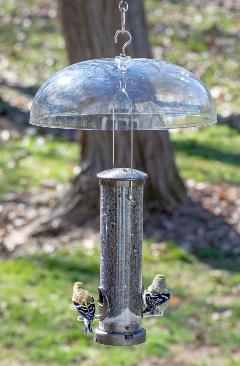 JCS Wildlife