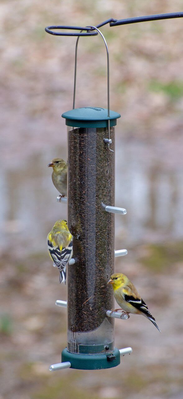 JCS Wildlife