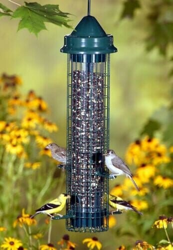 JCS Wildlife
