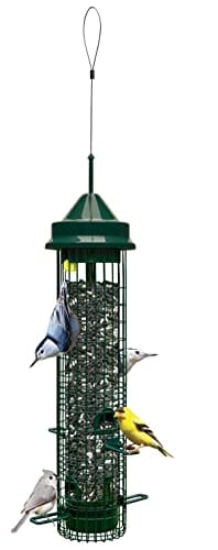 JCS Wildlife