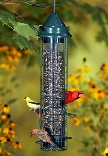JCS Wildlife