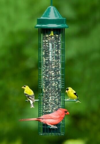 JCS Wildlife