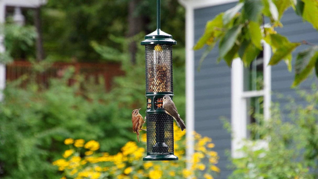 Birds feeding on Brome Squirrel Buster Nut Feeder 1053, a squirrel-proof bird feeder for nuts and fruit, hanging in a garden