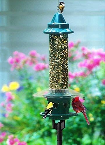 JCS Wildlife
