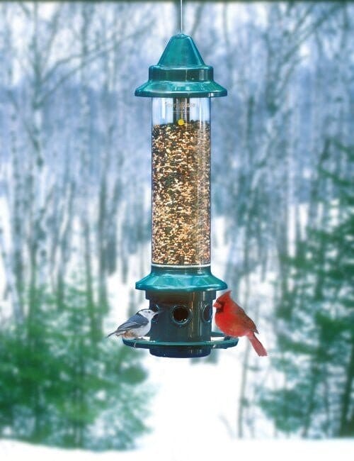JCS Wildlife