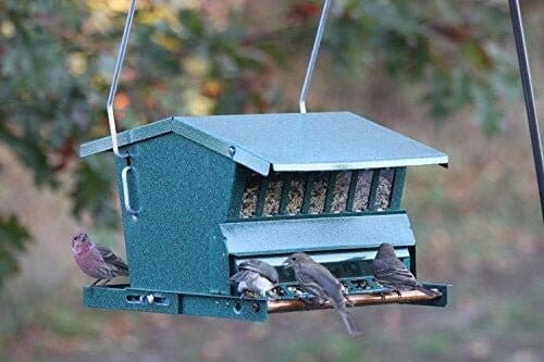 JCS Wildlife