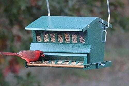JCS Wildlife