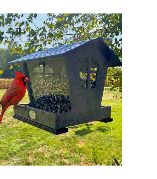 Medium hopper with cardinal
