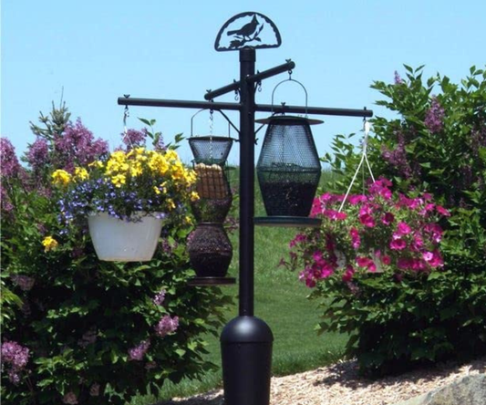 Bird Feeders for Sale: A Fun, Friendly Guide to Choosing the Perfect Feeder for Your Backyard