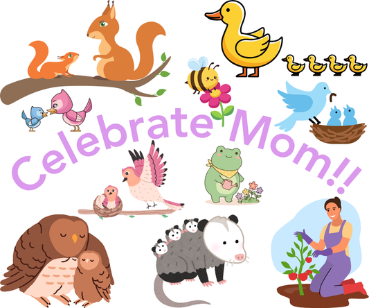 Celebrating Moms of All Feathers, Fur, and Families: A Mother’s Day Tribute from JCS Wildlife