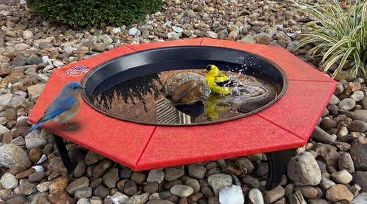 Types of Bird Baths: The Ultimate Guide to the Best Backyard Styles