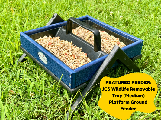 No mess seed in ground feeder