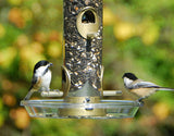 JCS Wildlife