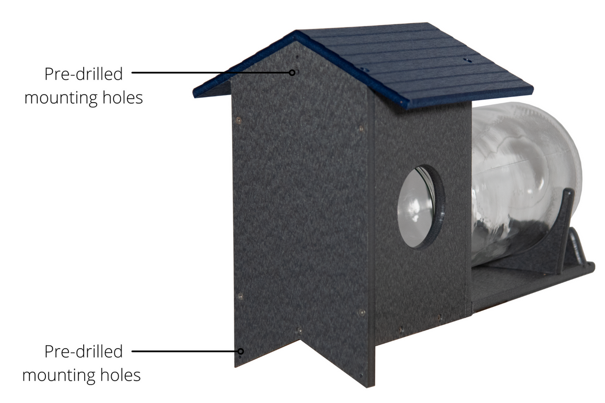 JCS Wildlife Squirrel Under Glass Mason Jar Peanut and Loose Corn Squirrel Feeder with pre-drilled mounting holes.