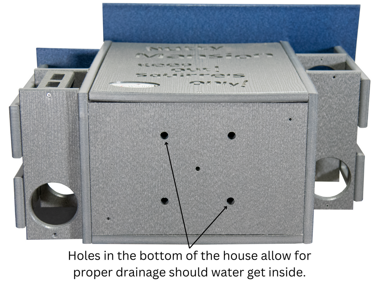 Product shot of a gray plastic squirrel feeder with a blue top featuring drainage holes and the words Nitty Invasion Keep out Squirrels Only engraved on the top