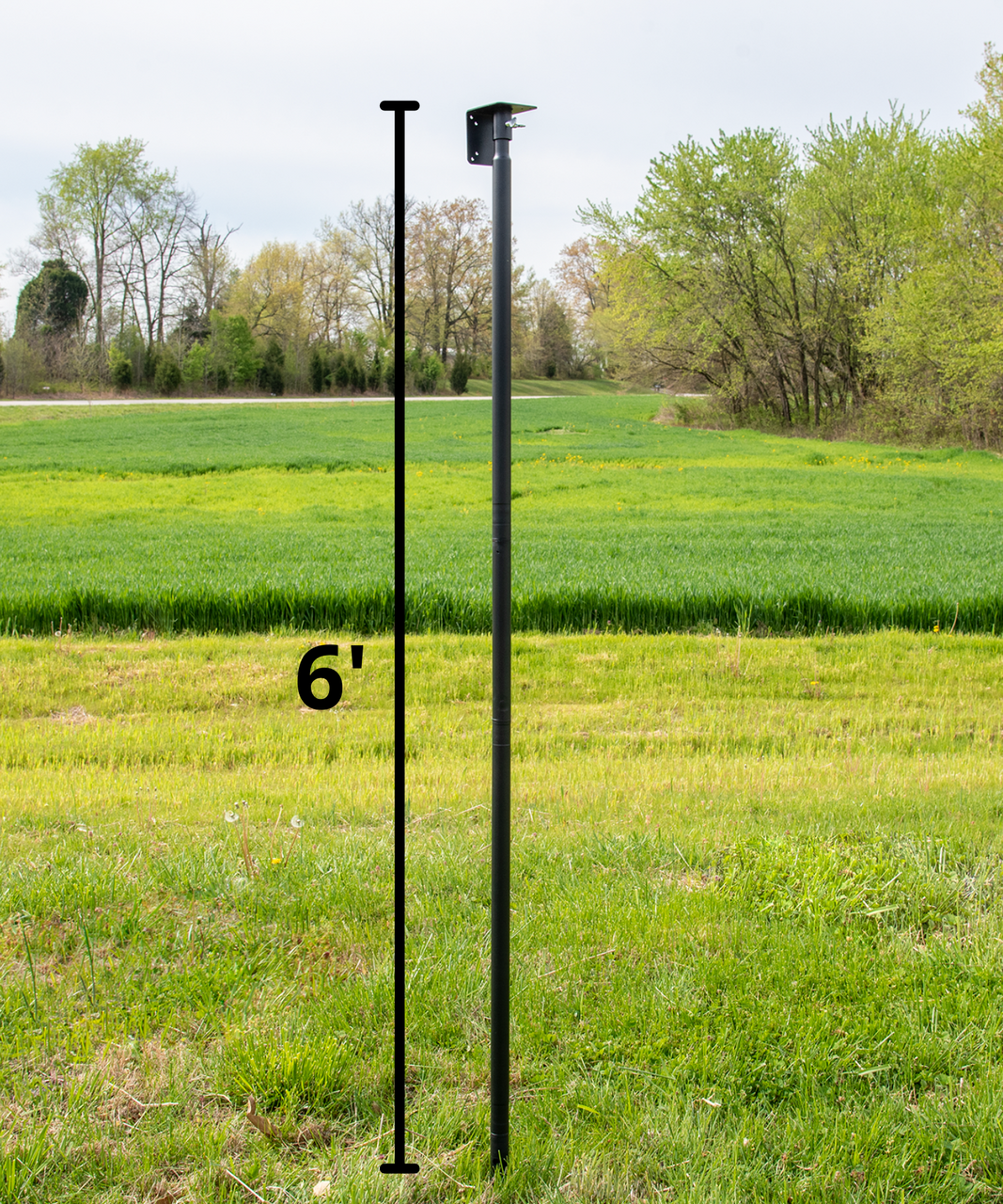Photograph showing a six-foot black metal post in a grassy field with trees and a vibrant green wheat field in the background featuring a small bracket and a few yellow wildflowers