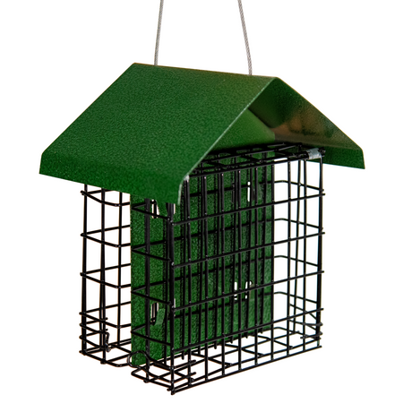 Metal bird feeder with a dark green roof and cage showing a textured green suet cake inside hanging from a wire