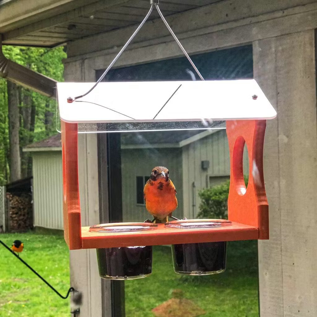 JCS Wildlife