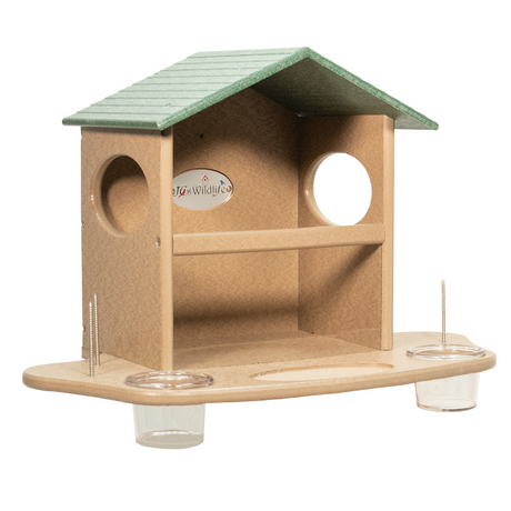 JCS Wildlife Squirrel Snack Station featuring an eco-friendly design with compartments for peanuts and fruit.