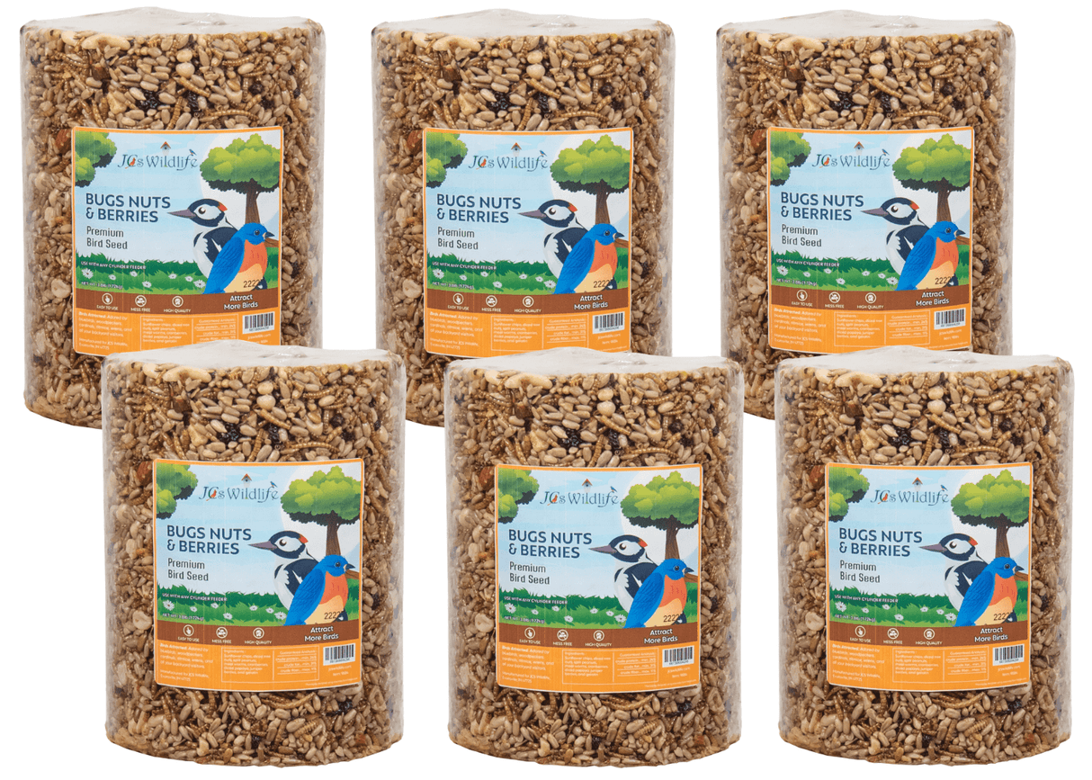JCS Wildlife Bugs Nuts and Berries Premium Bird Seed Large Cylinder, 3.8 lb, six-pack display with vibrant packaging.