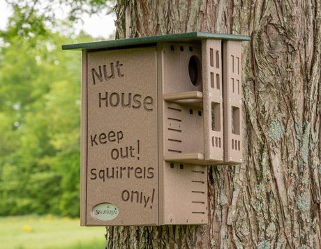 JCS Wildlife brown composite squirrel house affixed to a tree trunk featuring a green roof, carved lettering, and multiple entry holes against a blurred green background
